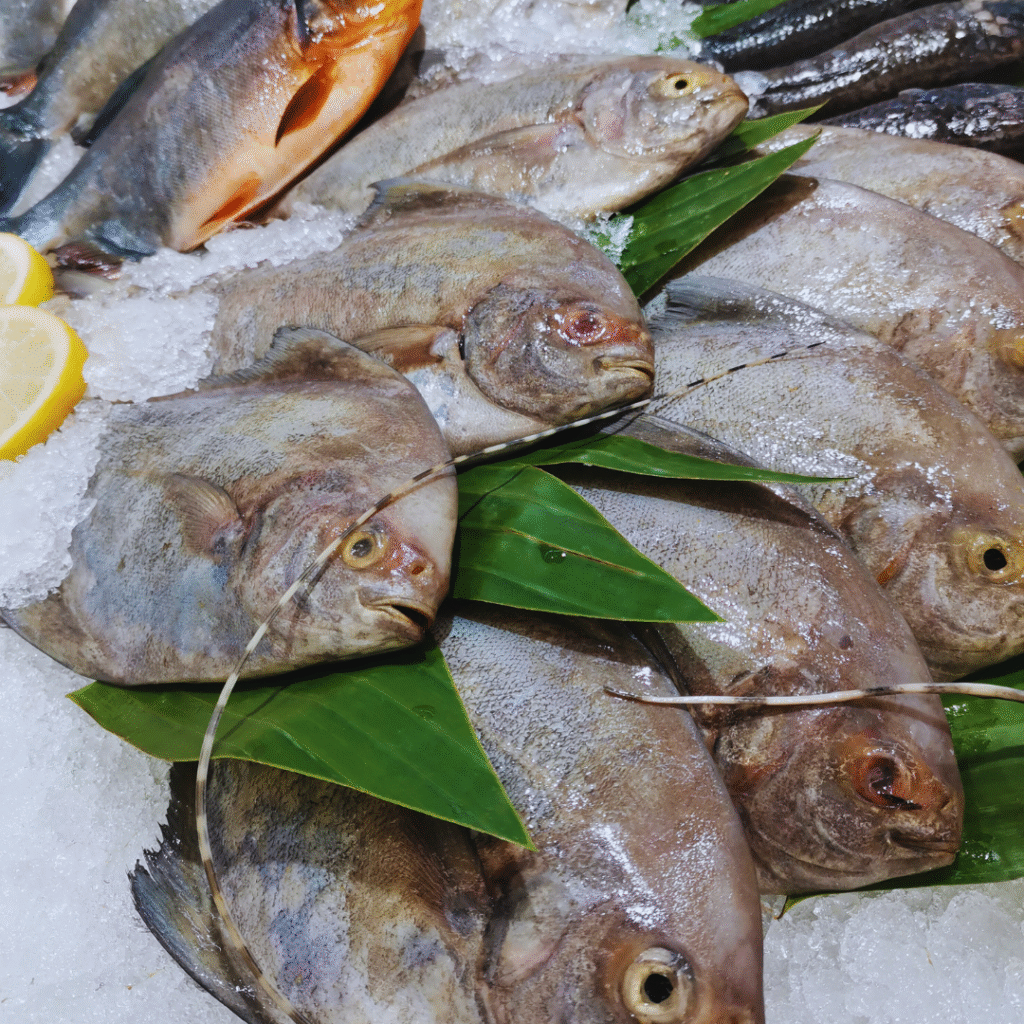 ikan_kembung